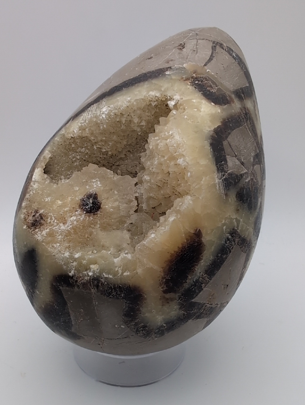 Huge Septarian Egg 🥚 With Druzy